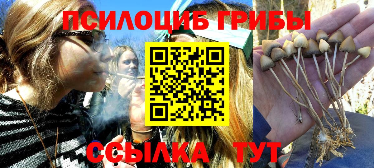 Галлюциногенные грибы GOLDEN TEACHER Ногинск
