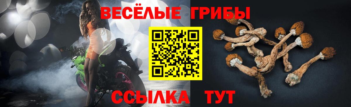 закладка  Галлюциногенные грибы мицелий  Вход с VPN  Ногинск 